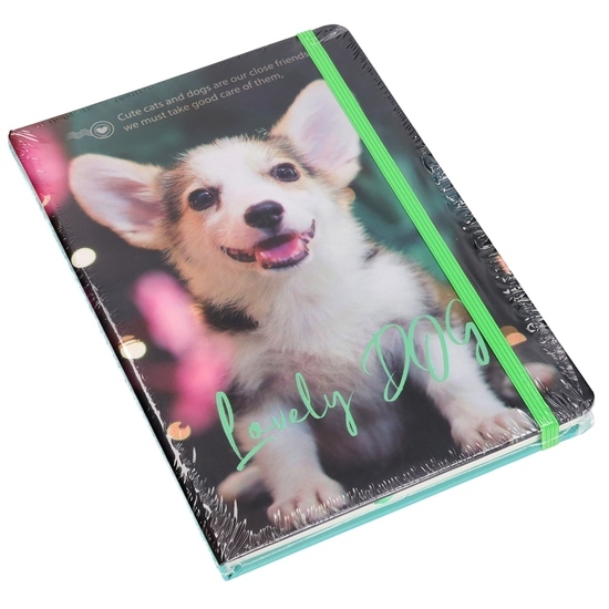 Notes PIES lub KOT pamiętnik  1