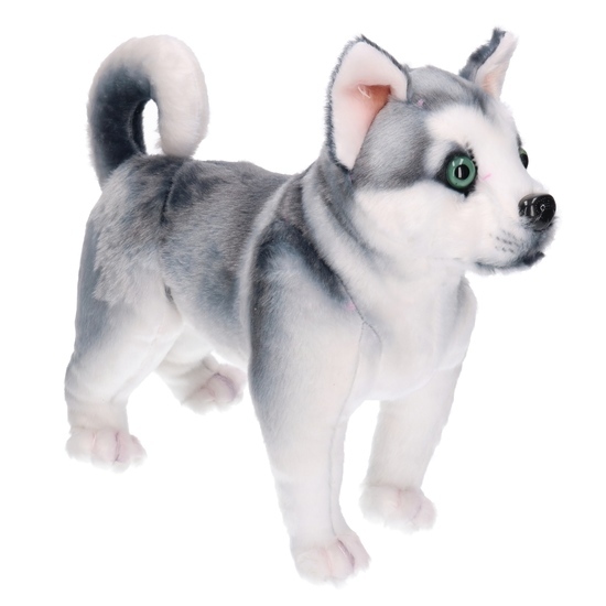 Maskotka PIES Husky Akita 1