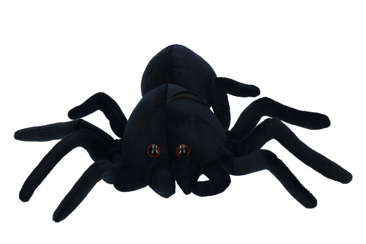 Maskotka pająk TARANTULA 20x30cm 1