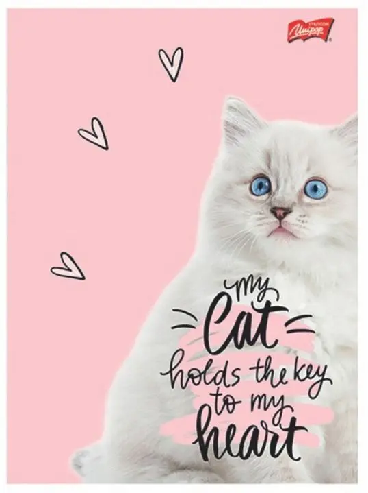 Zeszyt 60 kartek linia But first, CATS 1