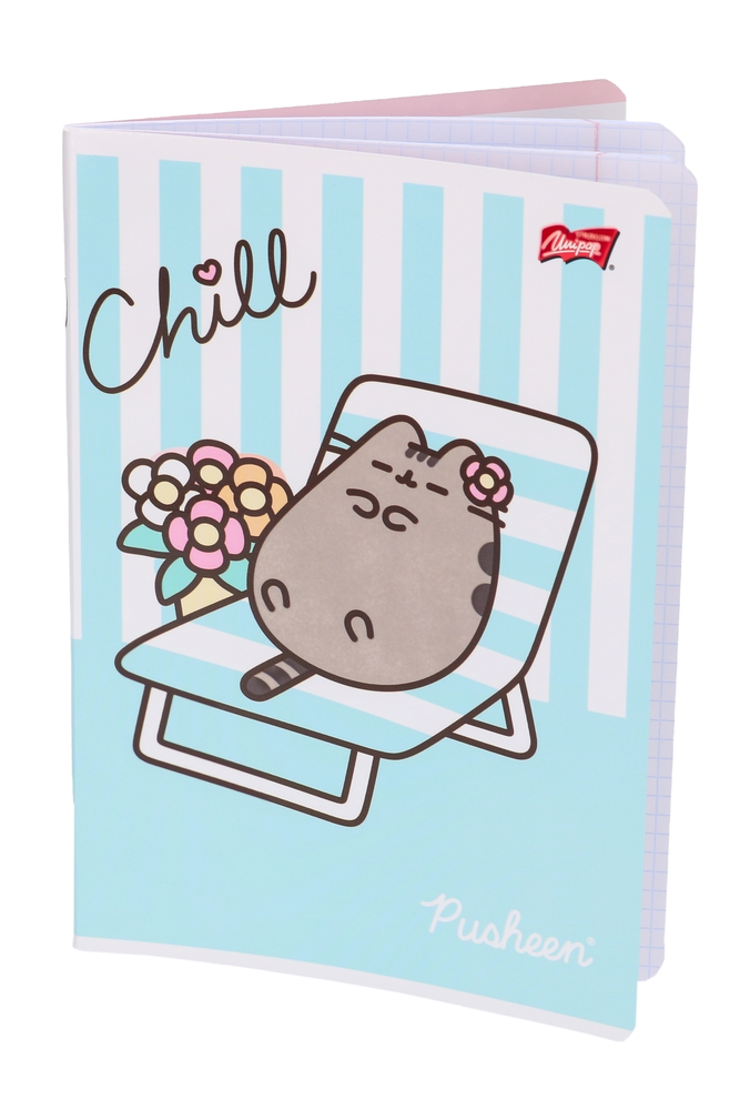 Zeszyt 32 kartki kratka Pusheen 1
