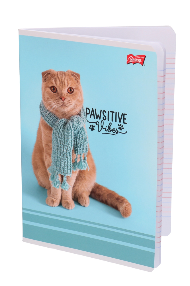 Zeszyt 32 kartki linia podwójna Pawsitive Vibes 1