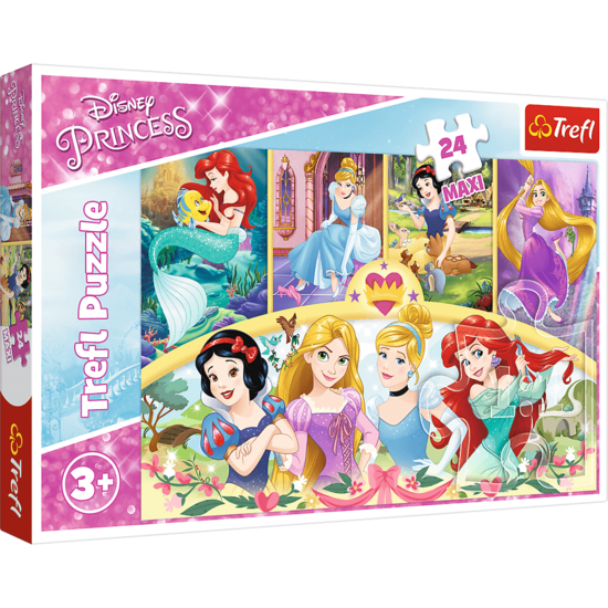 Puzzle 24 MAXI Magia wspomnień KSIĘŻNICZKI 1