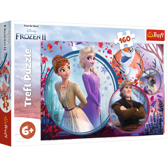 Puzzle 160 Siostrzana przygoda Frozen 1