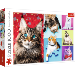 Puzzle 1000 Wesołe koty 1