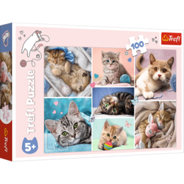 Puzzle 100 W KOCIM ŚWIECIE KOTKI 1