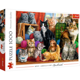 Puzzle 1000 KOCIE SPOTKANIE  1
