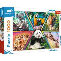 Puzzle 1000 KRÓLESTWO ZWIERZĄT  1