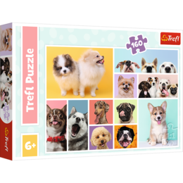 PUZZLE 160 Psia przyjaźń PIESKI 1