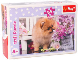Puzzle 54 mini PIES pomeranian 1