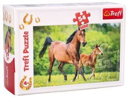 Puzzle 54 mini  ŚWIAT KONI 1