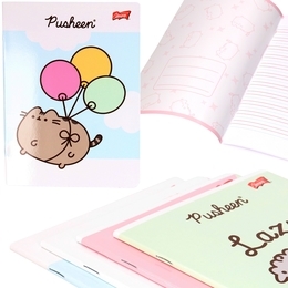 Zeszyt 32 kartki linia dwukolorowa PUSHEEN 1