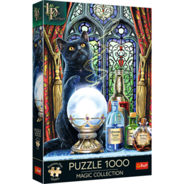 Puzzle 1000 Uczeń Czarownicy Premium Plus Quality 1