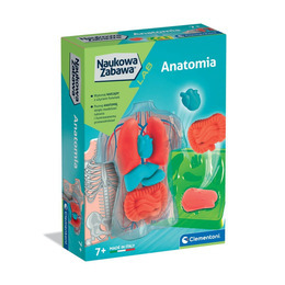 Anatomia Naukowa Zabawa 1