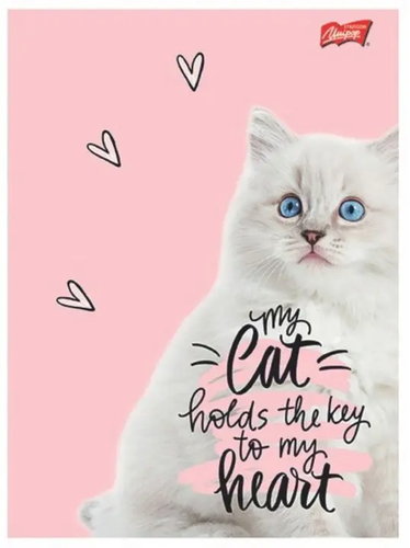 Zeszyt 60 kartek linia But first, CATS 1
