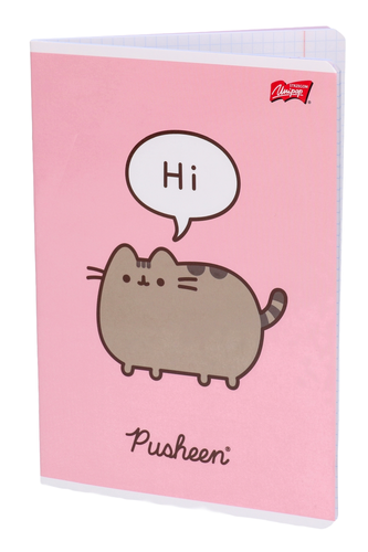 Zeszyt 60 kartek kratka PUSHEEN 1