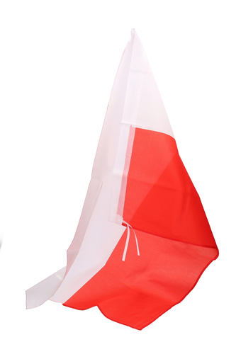 Flaga POLSKA 90x60cm na drzewiec 1