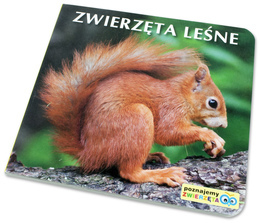 Książka Poznajemy zwierzęta ZWIERZĘTA LEŚNE 1