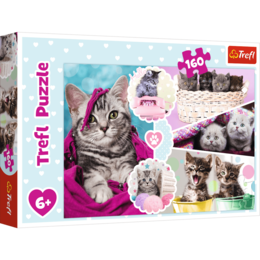 Puzzle 160 Urocze kotki 1