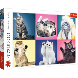 Puzzle 500 Kotki 1